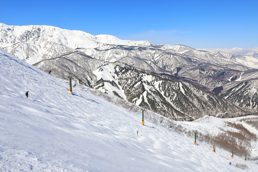 ski