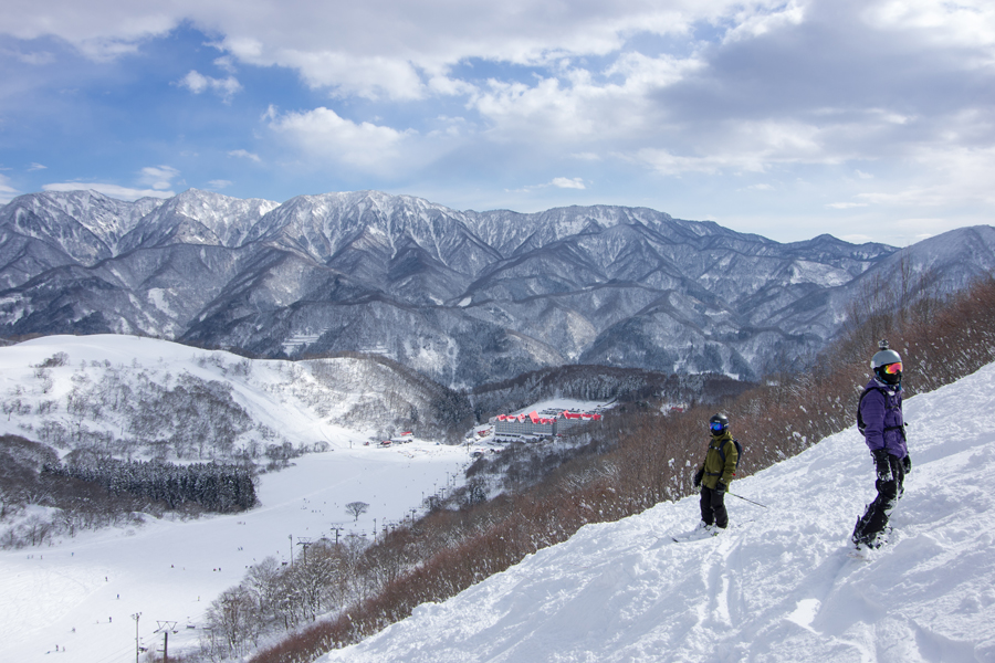 ski